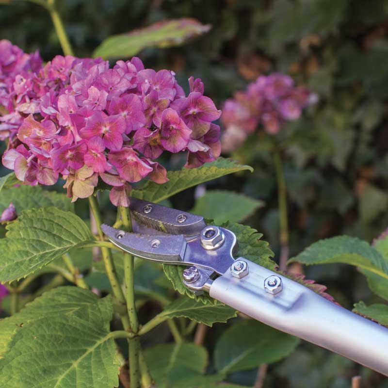 Sécateur long manche Cut & Hold