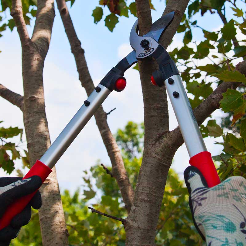 Ebrancheur ergonomique aluminium