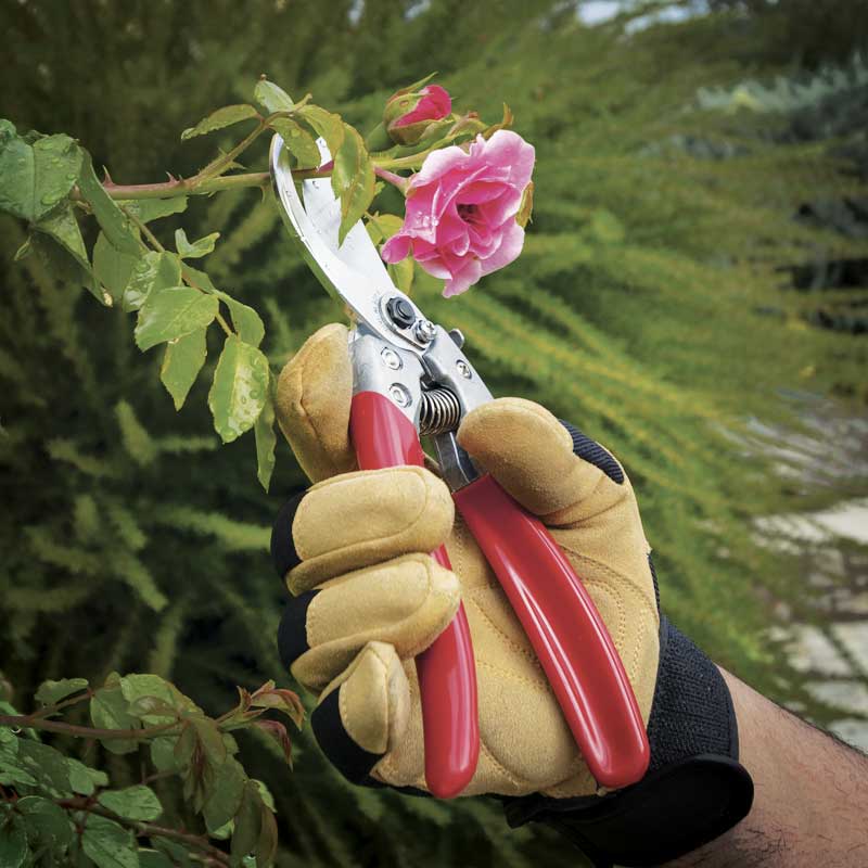 Sécateur lames croisantes